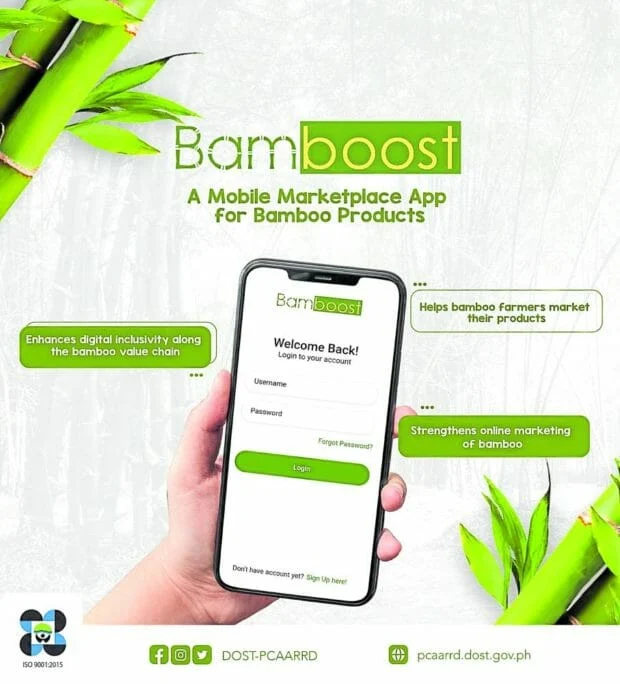 App eyed to help sell bamboo products